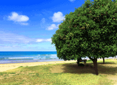 Altona Beach