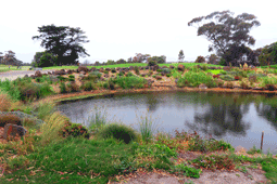 Bacchus Marsh West Golf Club