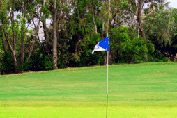 Balyang Par 3