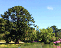 Basterfield Park