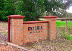 Big Hill Winery, Big Hill