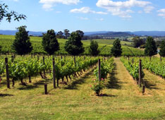 Birrarung Estate