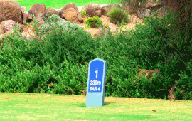 Box Hill Golf Club
