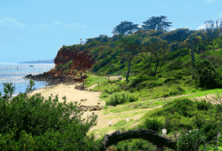 Brighton Beach Gardens