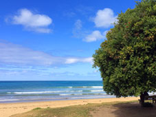 Campbells Cove Beaches