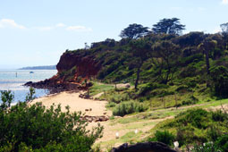 Canadian Bay Beach