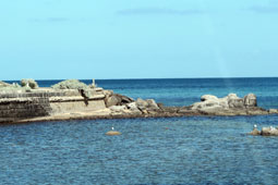 Craigie Beach