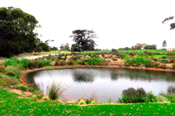 Eagle Ridge Golf Course