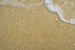 Edithvale Beach