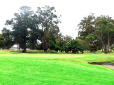 Eynesbury Golf