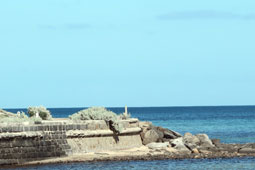 Fishermans Beach
