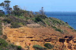 Fossil Beach