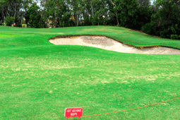 Freeway Golf Course