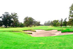 Growling Frog Golf Course