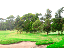 Heathmont Golf Park