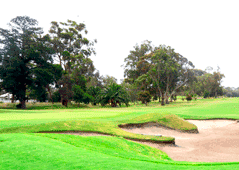 Heidelberg Golf Club