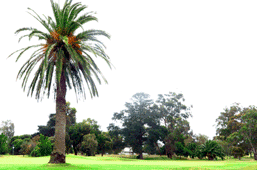 Hepburn Springs Golf Club
