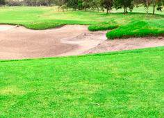 HMAS Cerberus Golf Club 