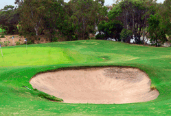 Ivanhoe Public Golf Course