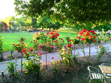 JJ Holland Park