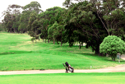 Kingswood Golf Club
