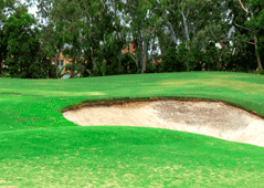 Midlands Golf Club