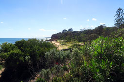 Moondah Beach