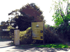 Morning Star Estate