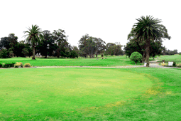 Mornington Golf Club