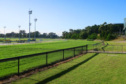 Murtoa Racecourse