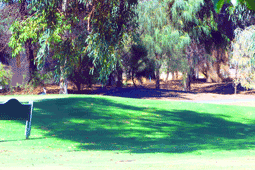 Northern Golf Club