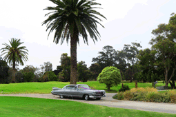 Peoples Path, East Melbourne