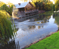 Perricoota Vines Retreat