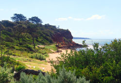 Pier Beach