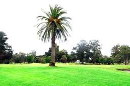 Portarlington Golf Club