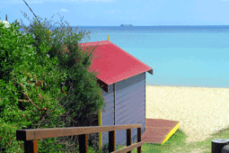 Portsea Front Beach