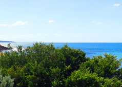 Queenscliff Beach