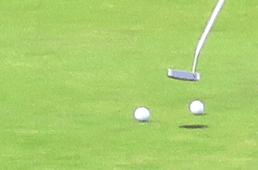 Queenscliff Golf Club