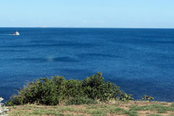 Ranelagh Beach