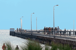 Rosebud Beach
