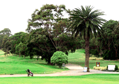 Royal Park Golf Course