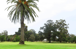 Sandhurst Club