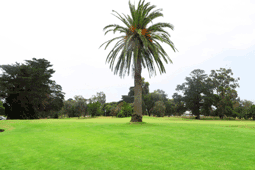 Sandhurst Golf Club