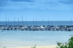 Sandringham Beach