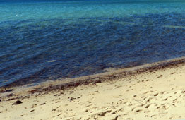 Seaford Beach