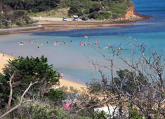 Shelley Beach
