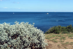Smiths Beach