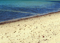 Southside Beach