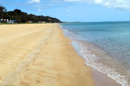 St Leonards Beach