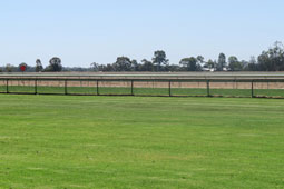 Terang Racecourse, Terang